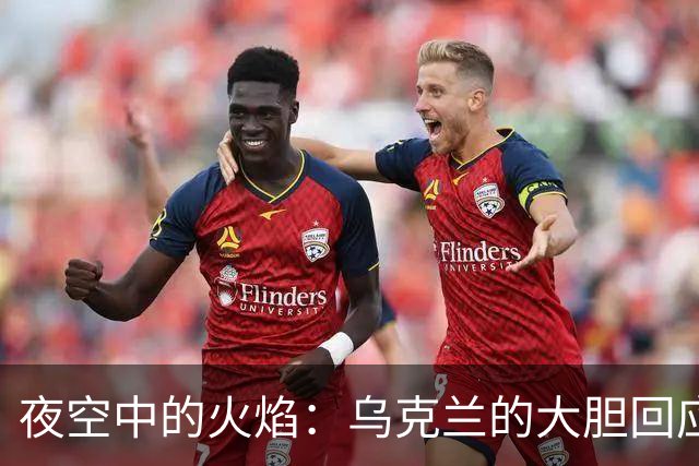 夜空中的火焰：乌克兰的大胆回应